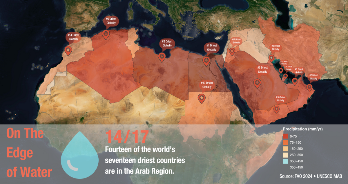 Arab Region Water Stress Map