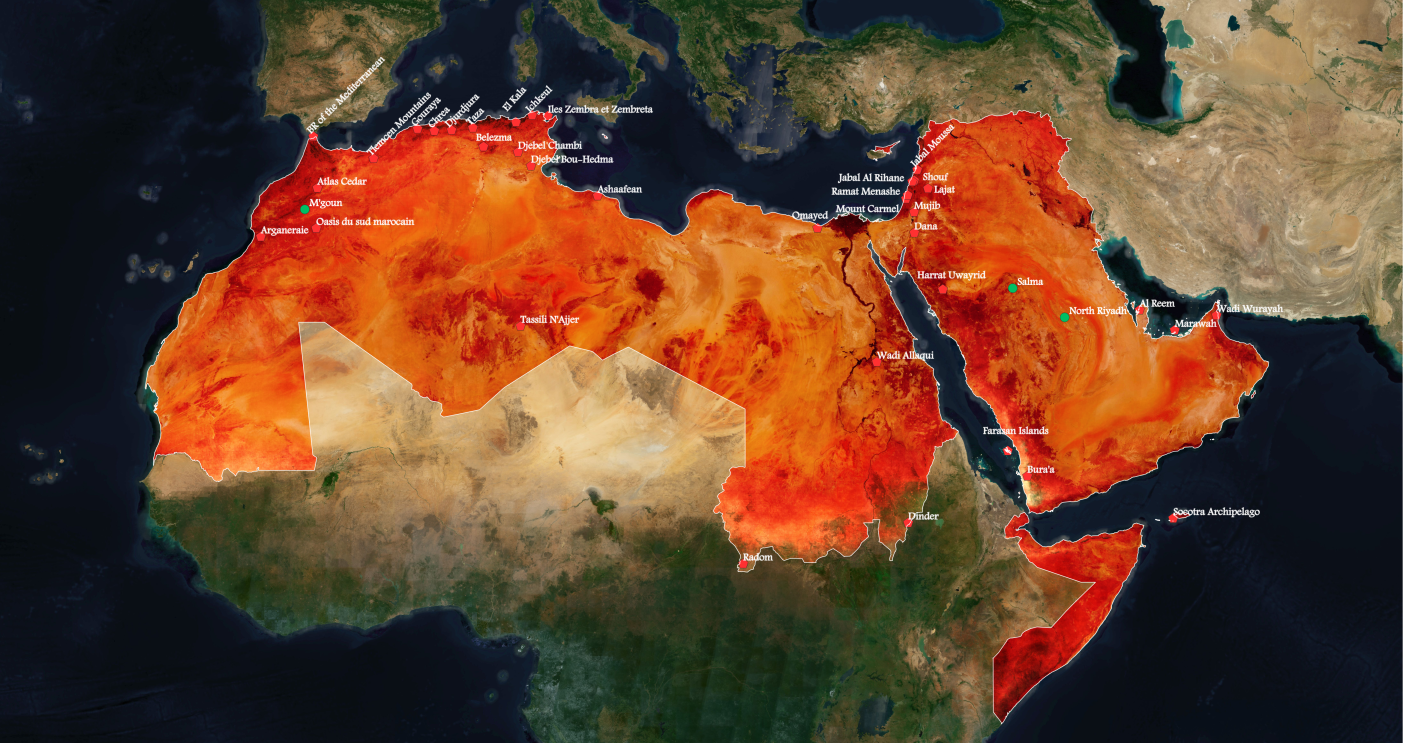 UNESCO Satellite Map